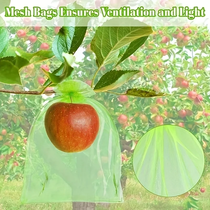 100Pcs Green Protective Bag wi - đánh giá và giá Smart Home Green