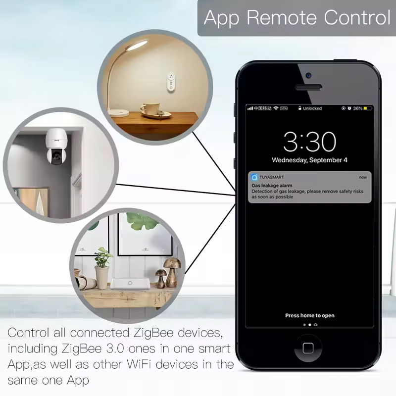 Moes Tuya ZigBee 3.0 Smart Gat - đánh giá và giá Smart Home Zentrale