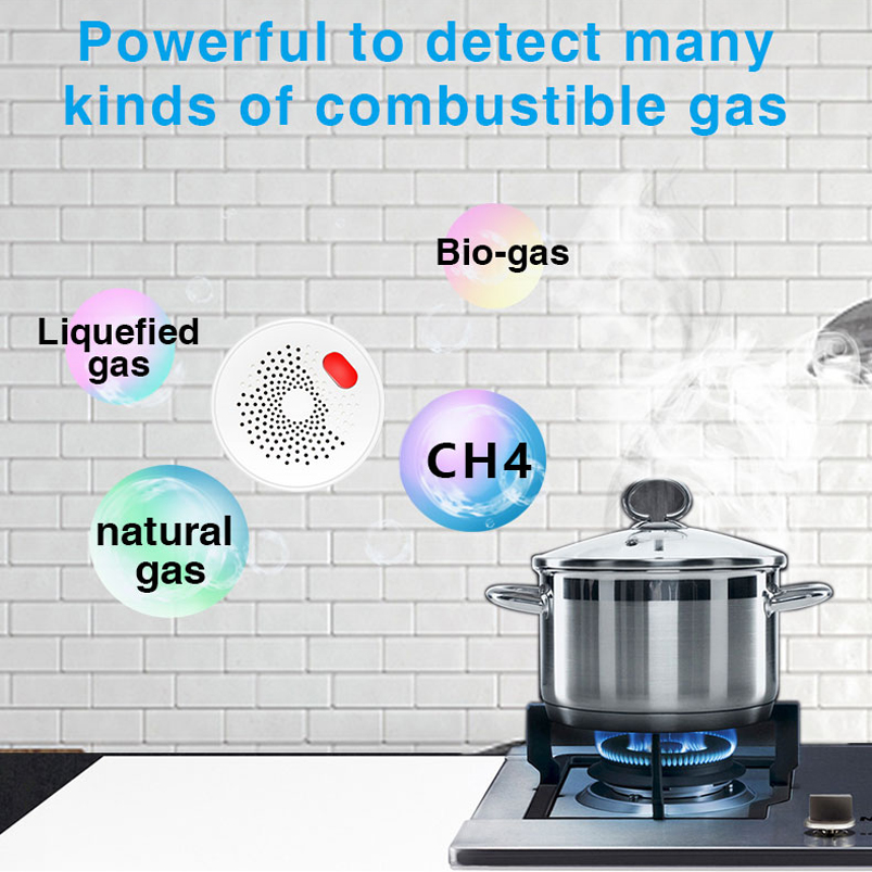 EU/US/UK Tuya Smart Home 2.4G  - đánh giá và giá Smart Home Networking
