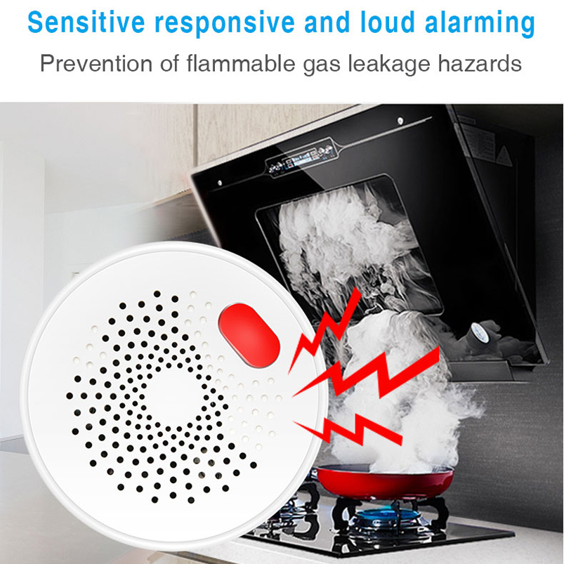EU/US/UK Tuya Smart Home 2.4G  - đánh giá và giá Smart Home Networking