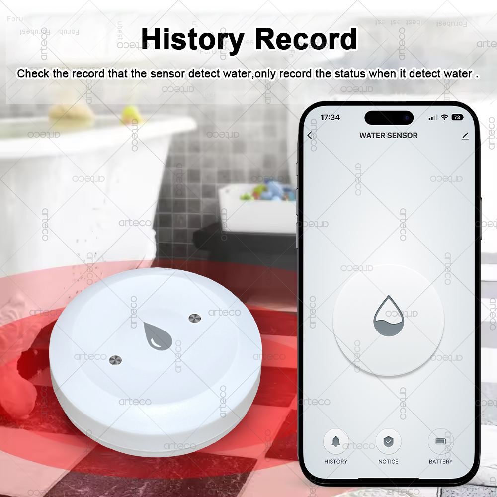 Tuya Smart Zigbee Water Sensor - đánh giá và giá Smart Home Zentrale