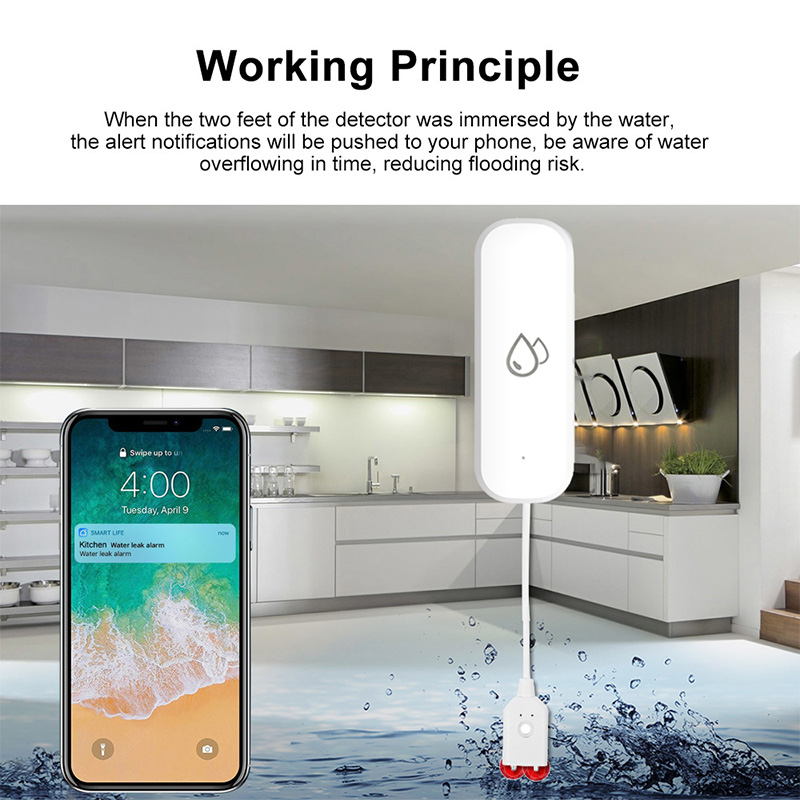 Tuya WiFi Water Leakage Alarm  - đánh giá và giá Smart Home Green