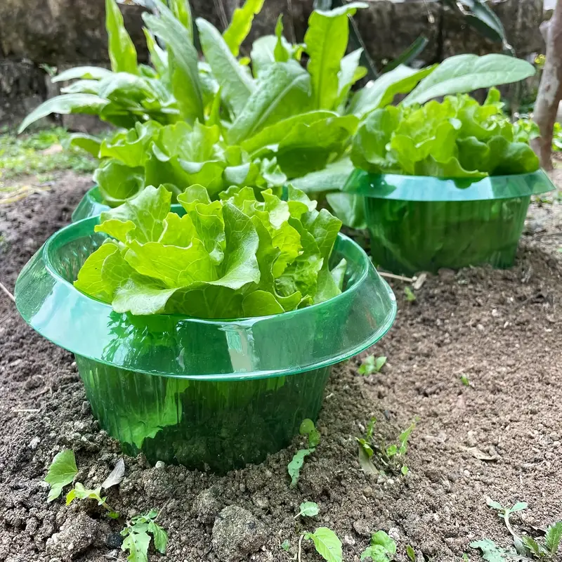 Plants Slug Protection Rings V - đánh giá và giá Smart Home Green