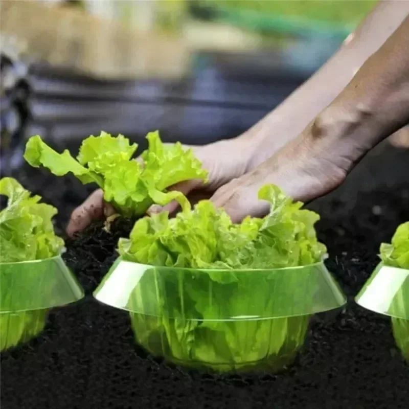 Plants Slug Protection Rings V - đánh giá và giá Smart Home Green