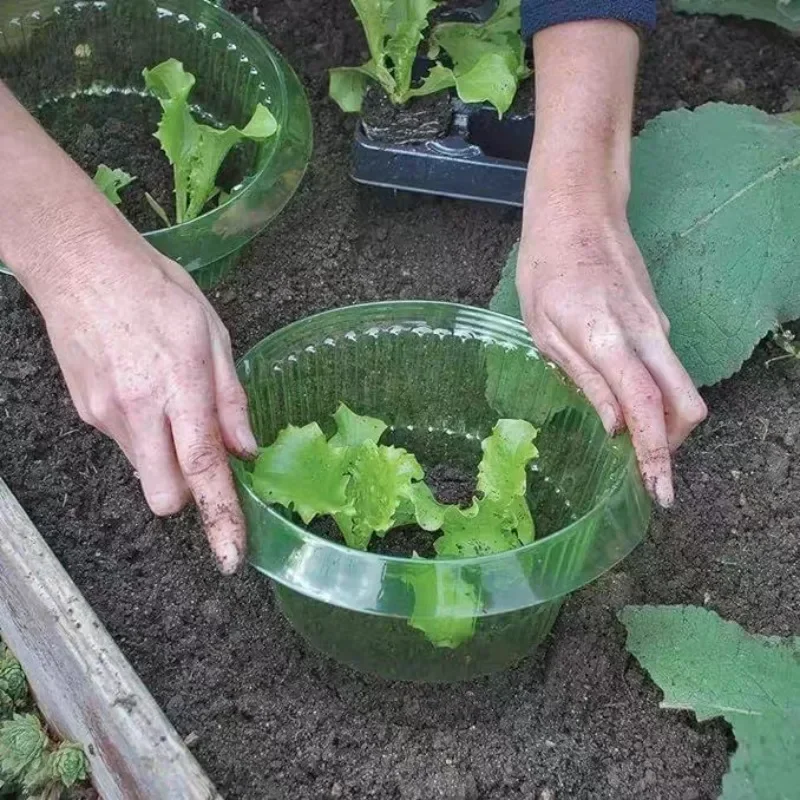 Plants Slug Protection Rings V - đánh giá và giá Smart Home Green